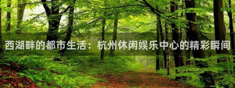 运达娱乐入口：西湖畔的都市生活：杭州休闲娱乐中心的精彩瞬间