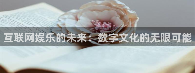 运达娱乐地址：互联网娱乐的未来：数字文化的无限可能